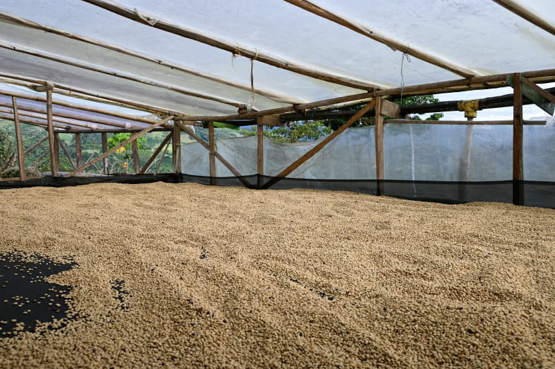 Farm Bild